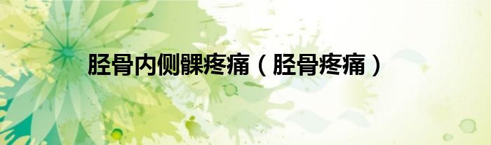 胫骨内侧髁疼痛（胫骨疼痛）