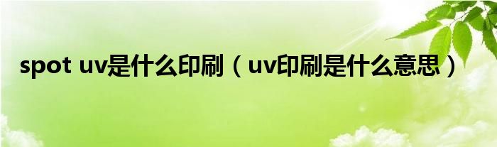 spot uv是什么印刷（uv印刷是什么意思）