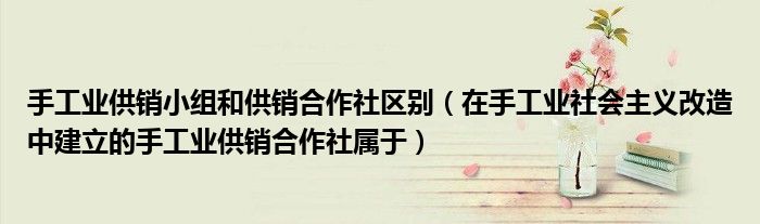 手工业供销小组和供销合作社区别（在手工业社会主义改造中建立的手工业供销合作社属于）