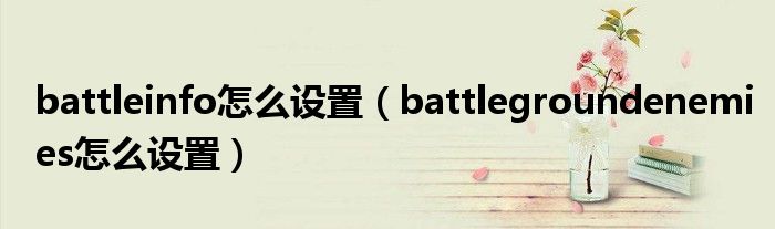 battleinfo怎么设置（battlegroundenemies怎么设置）