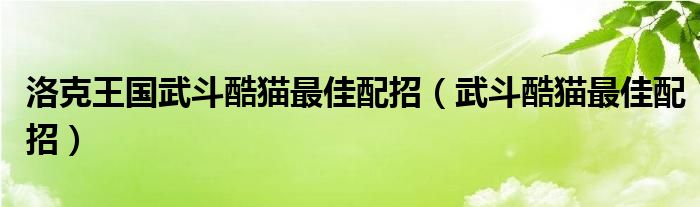 洛克王国武斗酷猫最佳配招（武斗酷猫最佳配招）