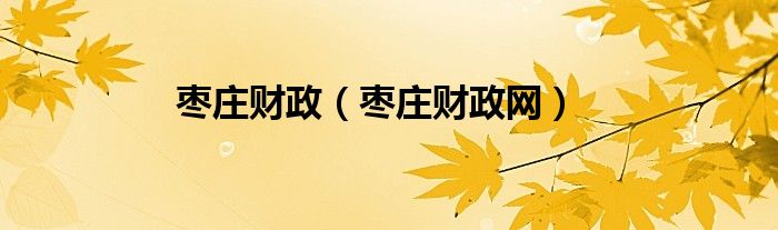 枣庄财政（枣庄财政网）