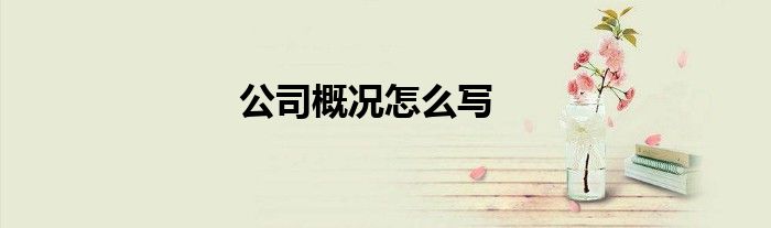 公司概况怎么写