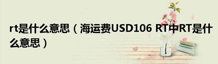 rt是什么意思（海运费USD106 RT中RT是什么意思）