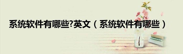 系统软件有哪些?英文（系统软件有哪些）