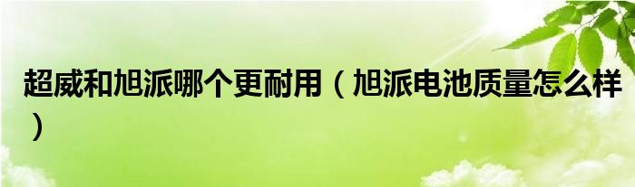 超威和旭派哪个更耐用（旭派电池质量怎么样）