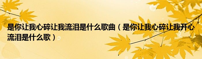 是你让我心碎让我流泪是什么歌曲（是你让我心碎让我开心流泪是什么歌）