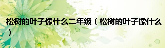 松树的叶子像什么二年级（松树的叶子像什么）