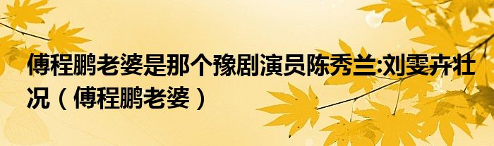 傅程鹏老婆是那个豫剧演员陈秀兰:刘雯卉壮况（傅程鹏老婆）