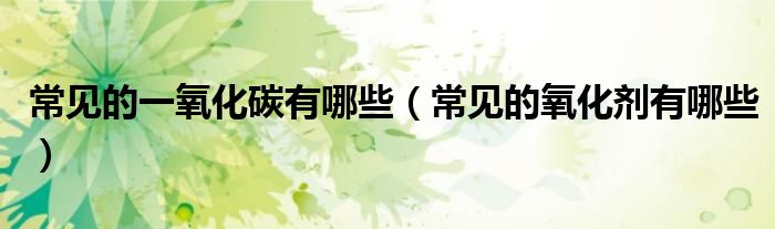 常见的一氧化碳有哪些（常见的氧化剂有哪些）