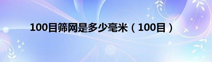 100目筛网是多少毫米（100目）