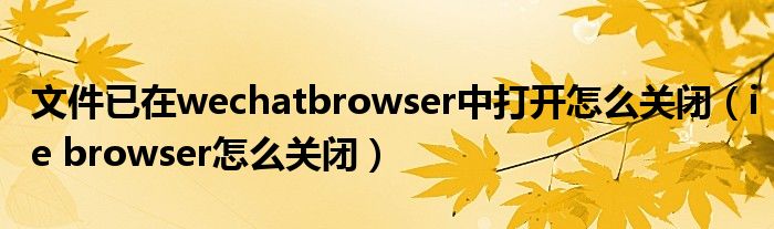 文件已在wechatbrowser中打开怎么关闭（ie browser怎么关闭）