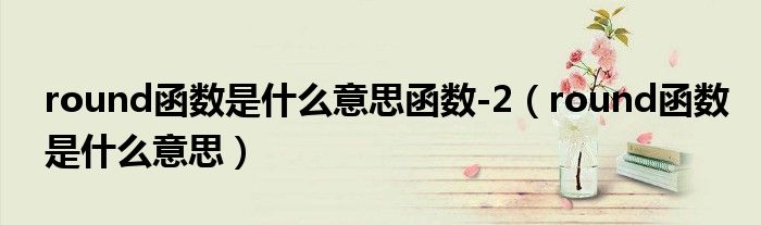 round函数是什么意思函数-2（round函数是什么意思）