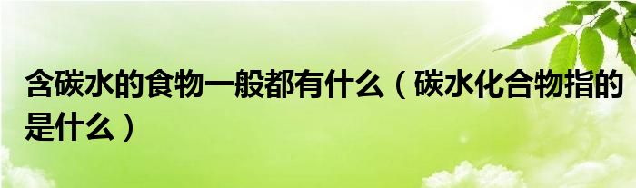 含碳水的食物一般都有什么（碳水化合物指的是什么）