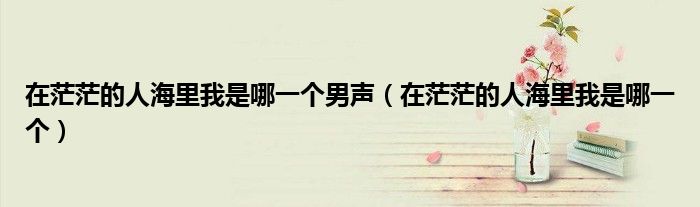 在茫茫的人海里我是哪一个男声（在茫茫的人海里我是哪一个）