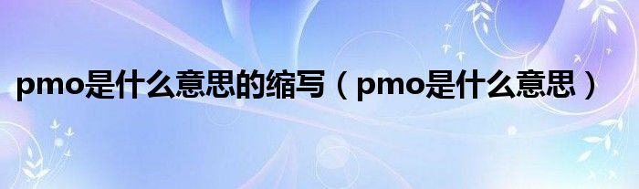 pmo是什么意思的缩写（pmo是什么意思）
