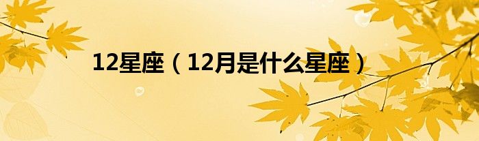 12星座（12月是什么星座）