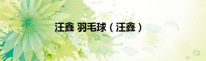 汪鑫 羽毛球（汪鑫）