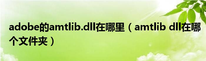 adobe的amtlib.dll在哪里（amtlib dll在哪个文件夹）