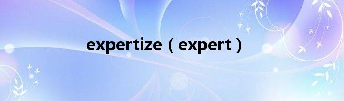 expertize（expert）