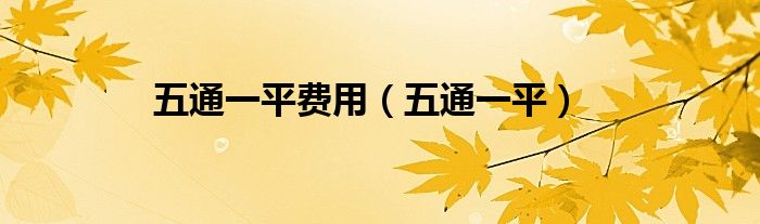五通一平费用（五通一平）