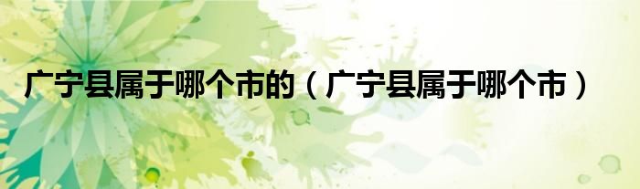 广宁县属于哪个市的（广宁县属于哪个市）