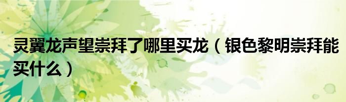 灵翼龙声望崇拜了哪里买龙（银色黎明崇拜能买什么）