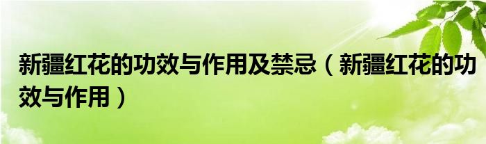新疆红花的功效与作用及禁忌（新疆红花的功效与作用）