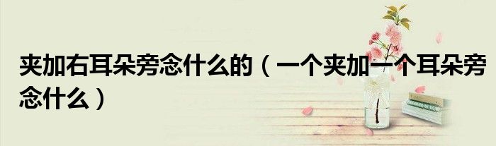 夹加右耳朵旁念什么的（一个夹加一个耳朵旁念什么）