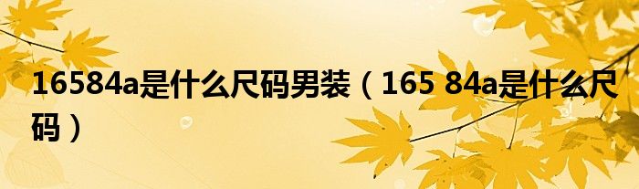16584a是什么尺码男装（165 84a是什么尺码）