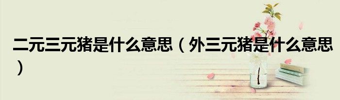 二元三元猪是什么意思（外三元猪是什么意思）