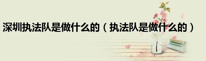 深圳执法队是做什么的（执法队是做什么的）