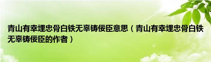 青山有幸埋忠骨白铁无辜铸佞臣意思（青山有幸埋忠骨白铁无辜铸佞臣的作者）