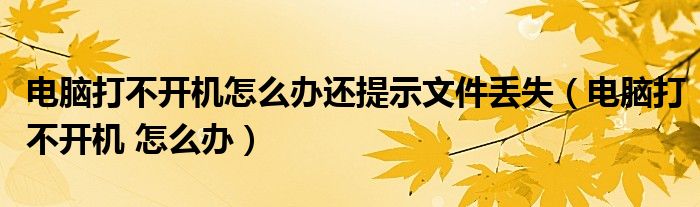 电脑打不开机怎么办还提示文件丢失（电脑打不开机 怎么办）