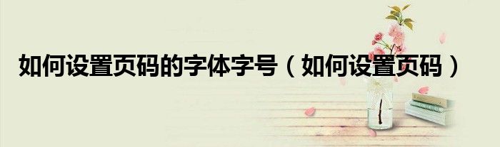 如何设置页码的字体字号（如何设置页码）