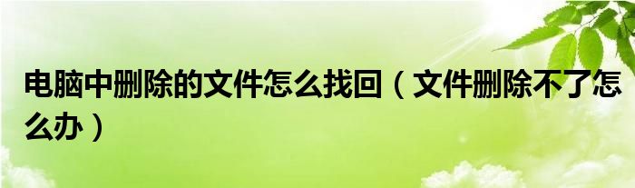 电脑中删除的文件怎么找回（文件删除不了怎么办）