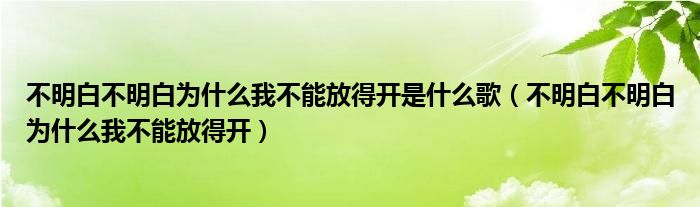 不明白不明白为什么我不能放得开是什么歌（不明白不明白为什么我不能放得开）