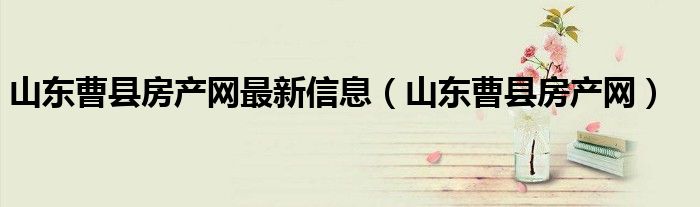 山东曹县房产网最新信息（山东曹县房产网）