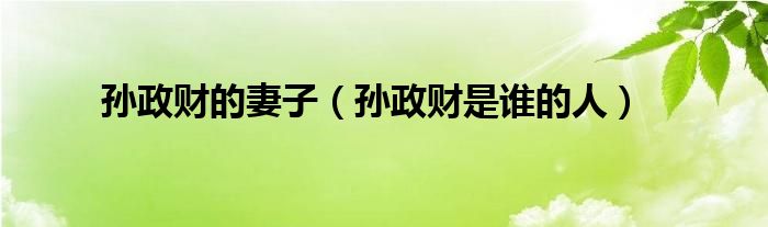孙政财的妻子（孙政财是谁的人）