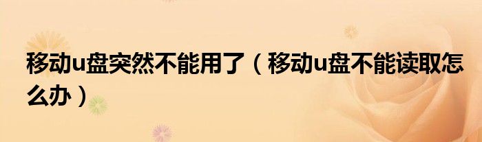 移动u盘突然不能用了（移动u盘不能读取怎么办）