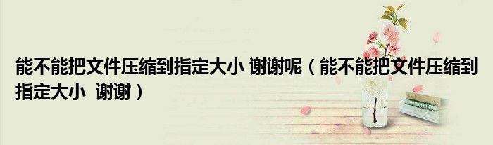 能不能把文件压缩到指定大小 谢谢呢（能不能把文件压缩到指定大小  谢谢）
