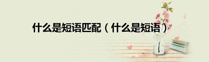 什么是短语匹配（什么是短语）