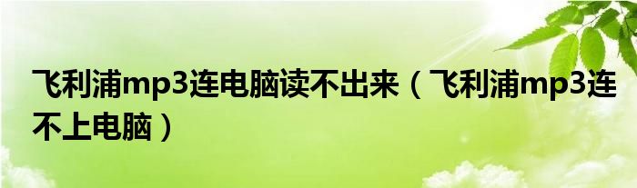 飞利浦mp3连电脑读不出来（飞利浦mp3连不上电脑）