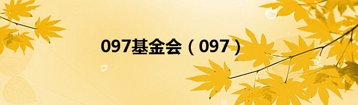 097基金会（097）