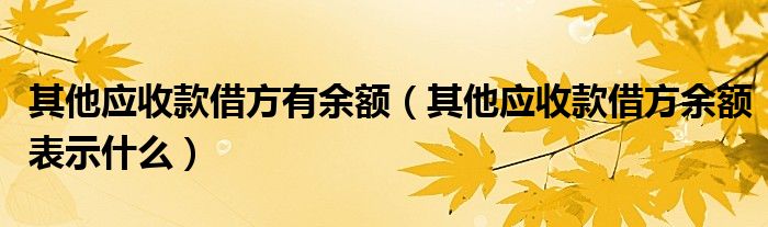 其他应收款借方有余额（其他应收款借方余额表示什么）