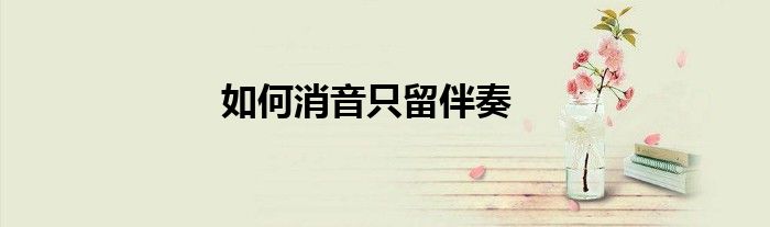 如何消音只留伴奏