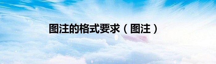 图注的格式要求（图注）