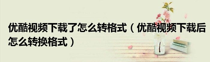 优酷视频下载了怎么转格式（优酷视频下载后怎么转换格式）