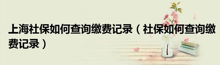 上海社保如何查询缴费记录（社保如何查询缴费记录）