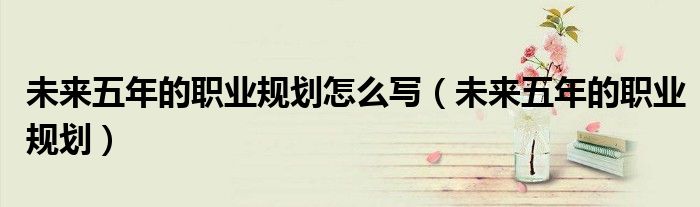 未来五年的职业规划怎么写（未来五年的职业规划）